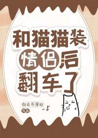 和猫猫装情侣后翻车了海棠文学