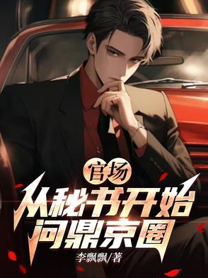 进入官场走向顶峰的