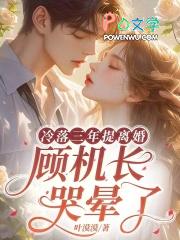 冷落三年提离婚顾机长哭晕了全文免费阅读