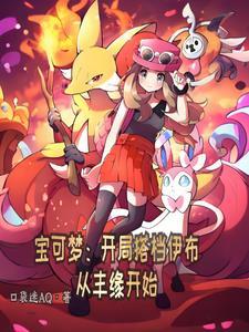 精灵宝可梦 伊布 攻略