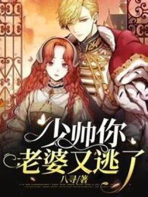 少帅你老婆又逃了第2季免费观看