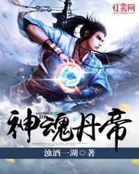 神魂丹帝秦朗有几个女主
