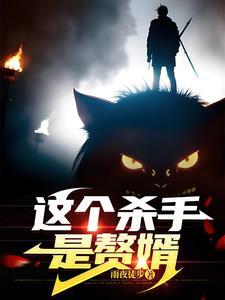 这个杀手是赘婿主角叫啥名字啊