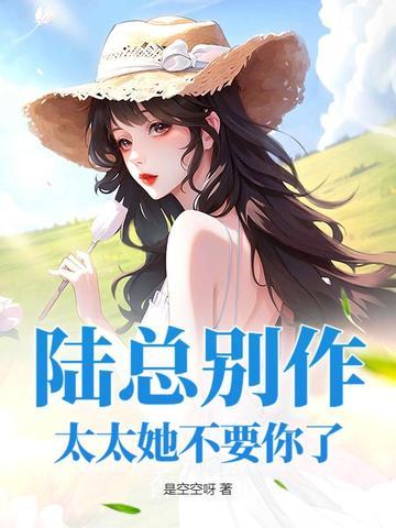 陆太太你别跑